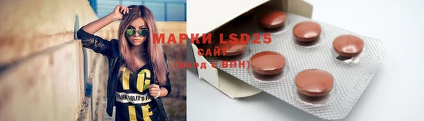 молекула духа Инсар